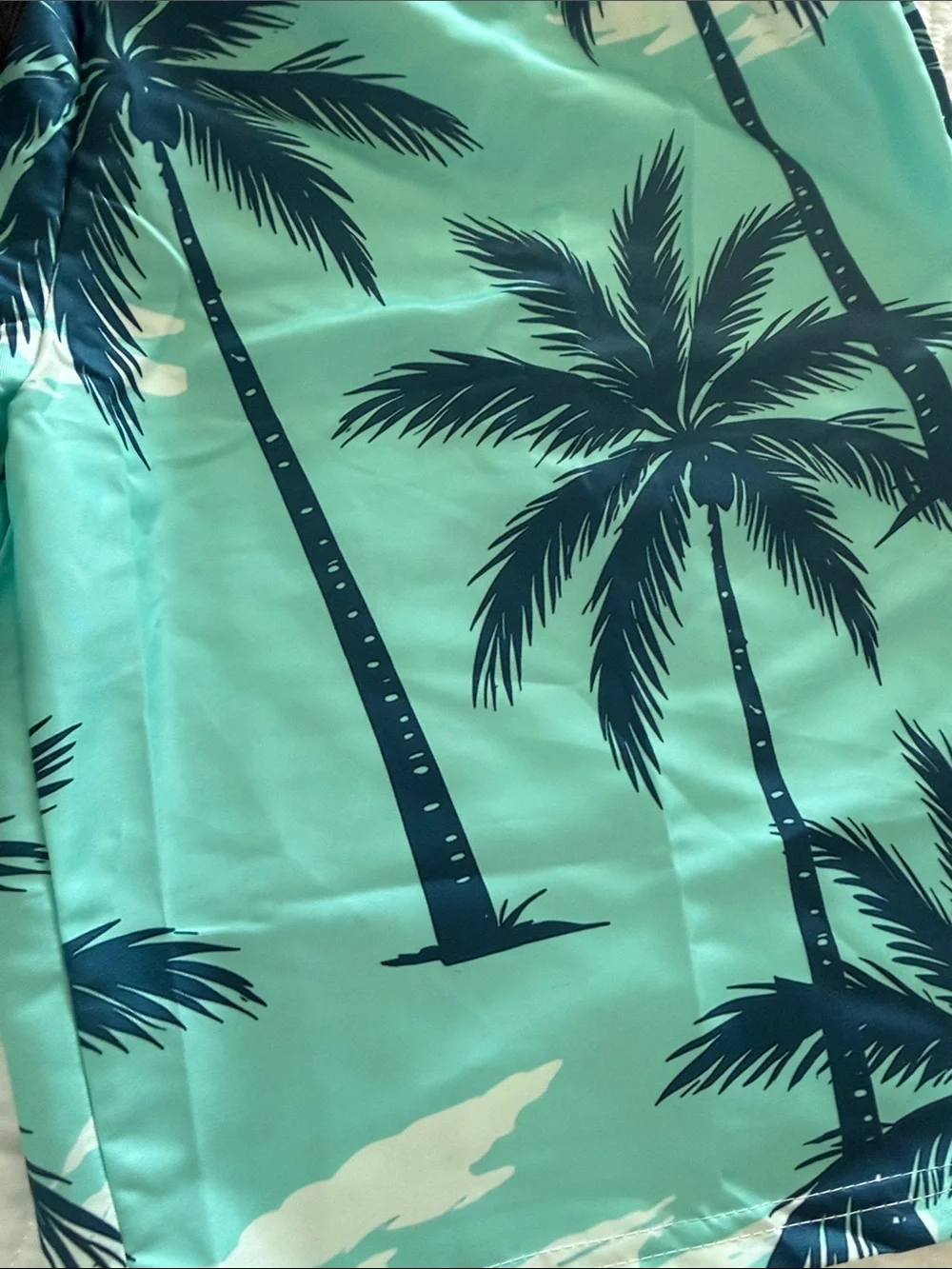 Men's Turquoise Palm Print Swim Shorts